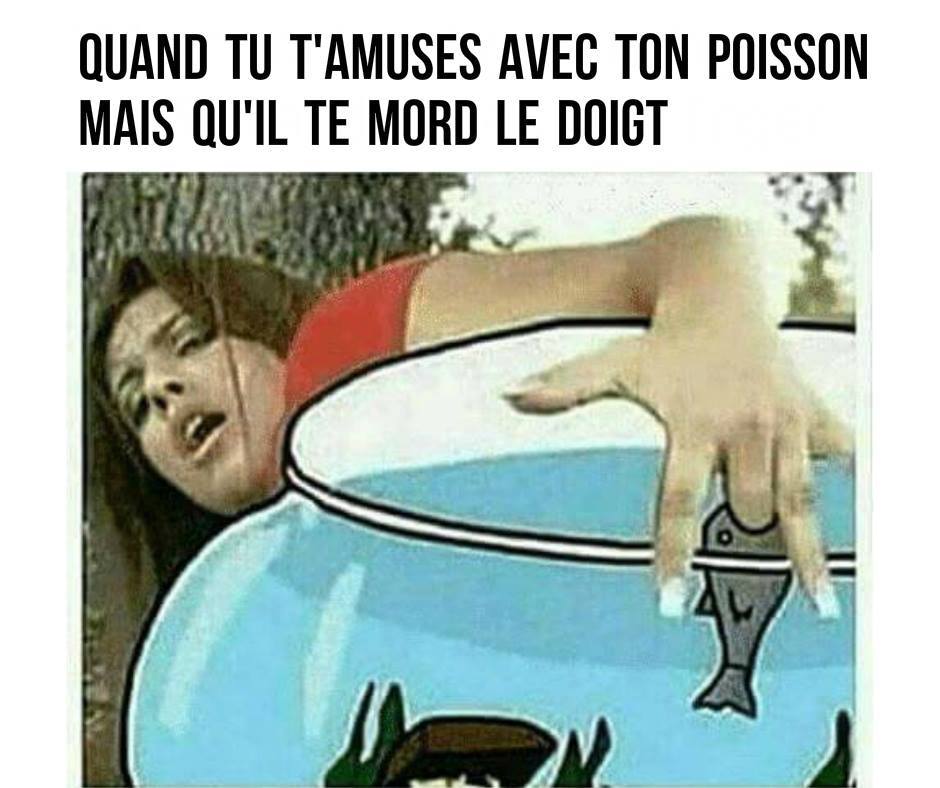 Saloperie de poisson Taper du Zizi